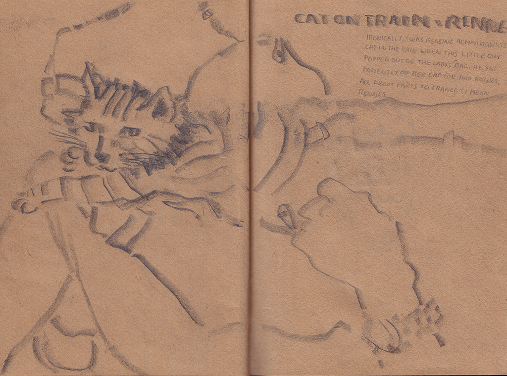 Observational sketch of a surprisingly relaxed cat in a woman's handbag on a train heading towards Montpillier in France by Roberto Millan and millan.tv.